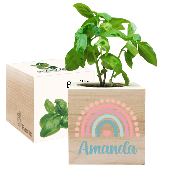 Printed EcoCube Rainbow