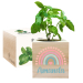 Printed EcoCube Rainbow