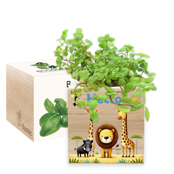 Printed EcoCube Safari