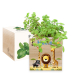 Printed EcoCube Safari