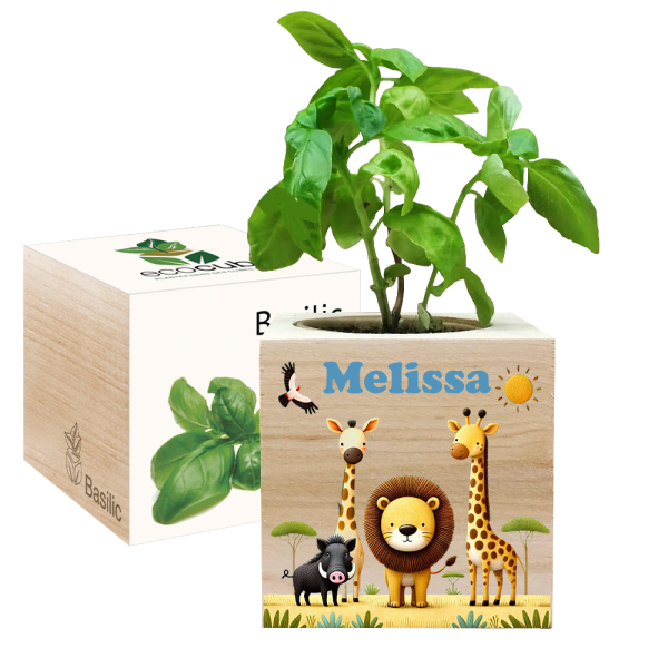 Printed EcoCube Safari