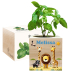Printed EcoCube Safari