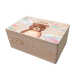 Storage box Clouds and animals