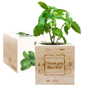 Engraved EcoCube Thank You Teacher