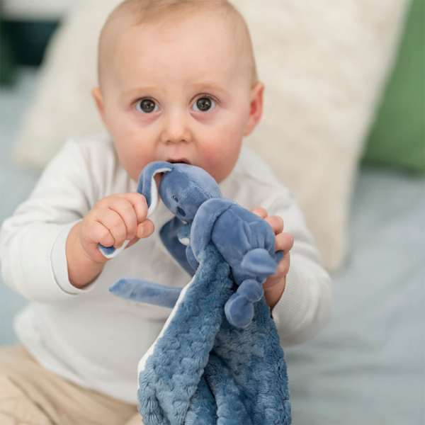 Embroidered rabbit blanket