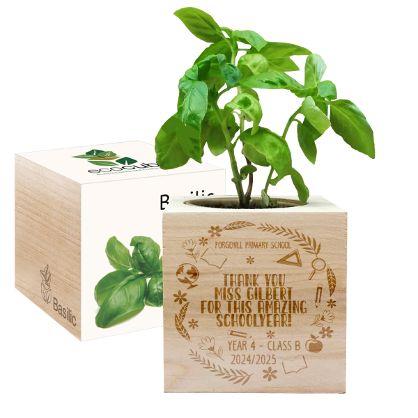 Engraved EcoCube Teacher Appreciation