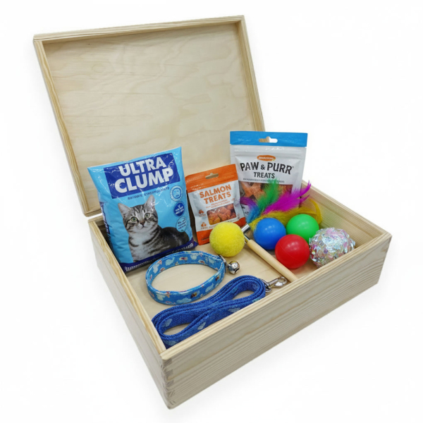 Engraved storage box for cats Engraved storage box for cats
