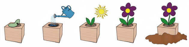 Ecocubes instructions